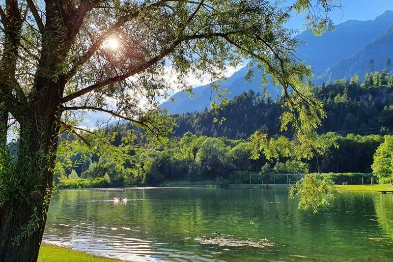 Sonne durch die Bäume am Badesee